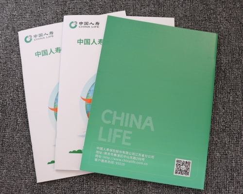 中国人寿画册印刷